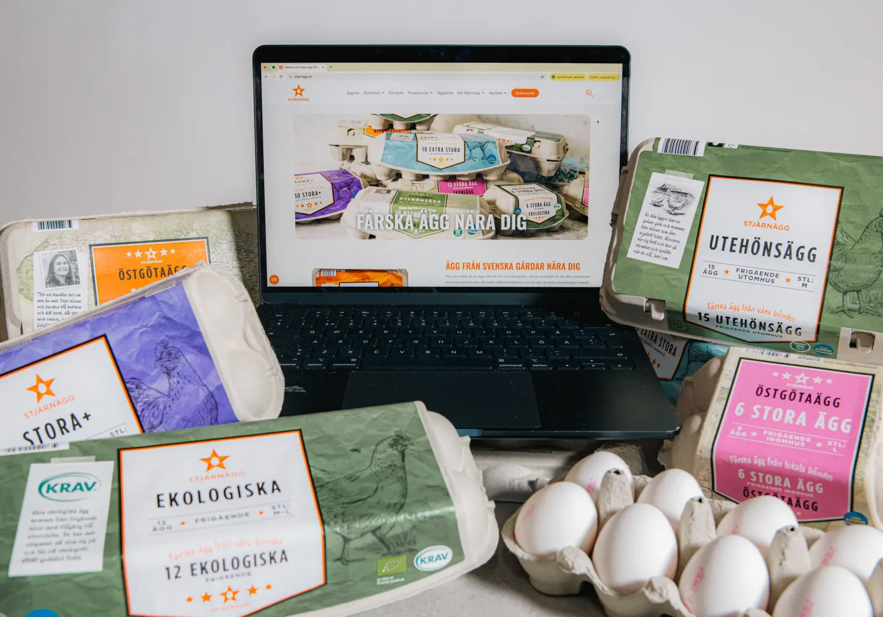 En laptop som visar en ägghandlares webbplats är omgiven av olika kartonger med ägg, inklusive märkta ekologiska och frigående alternativ, med flera ägg synliga i en öppen kartong i förgrunden.